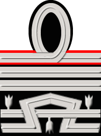 Generale di Divisione con incarichi di comando/staff del grado superiore